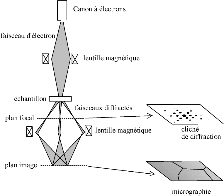 Schéma de principe d'un microscope électronique en transmission